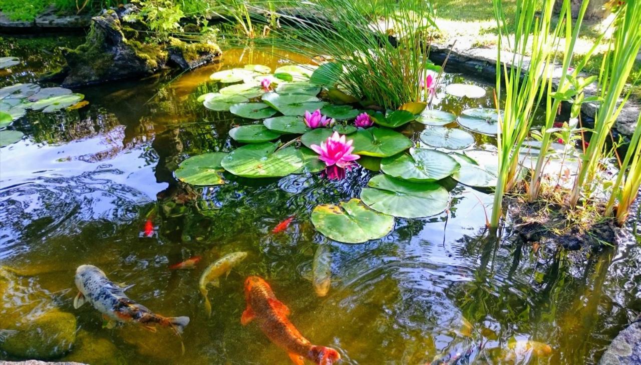 Вілла Gite Pause Au Jardin Saint-Branchs Екстер'єр фото